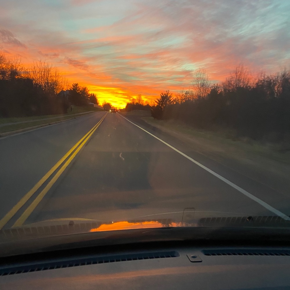 Meet your Posher, Nairuz